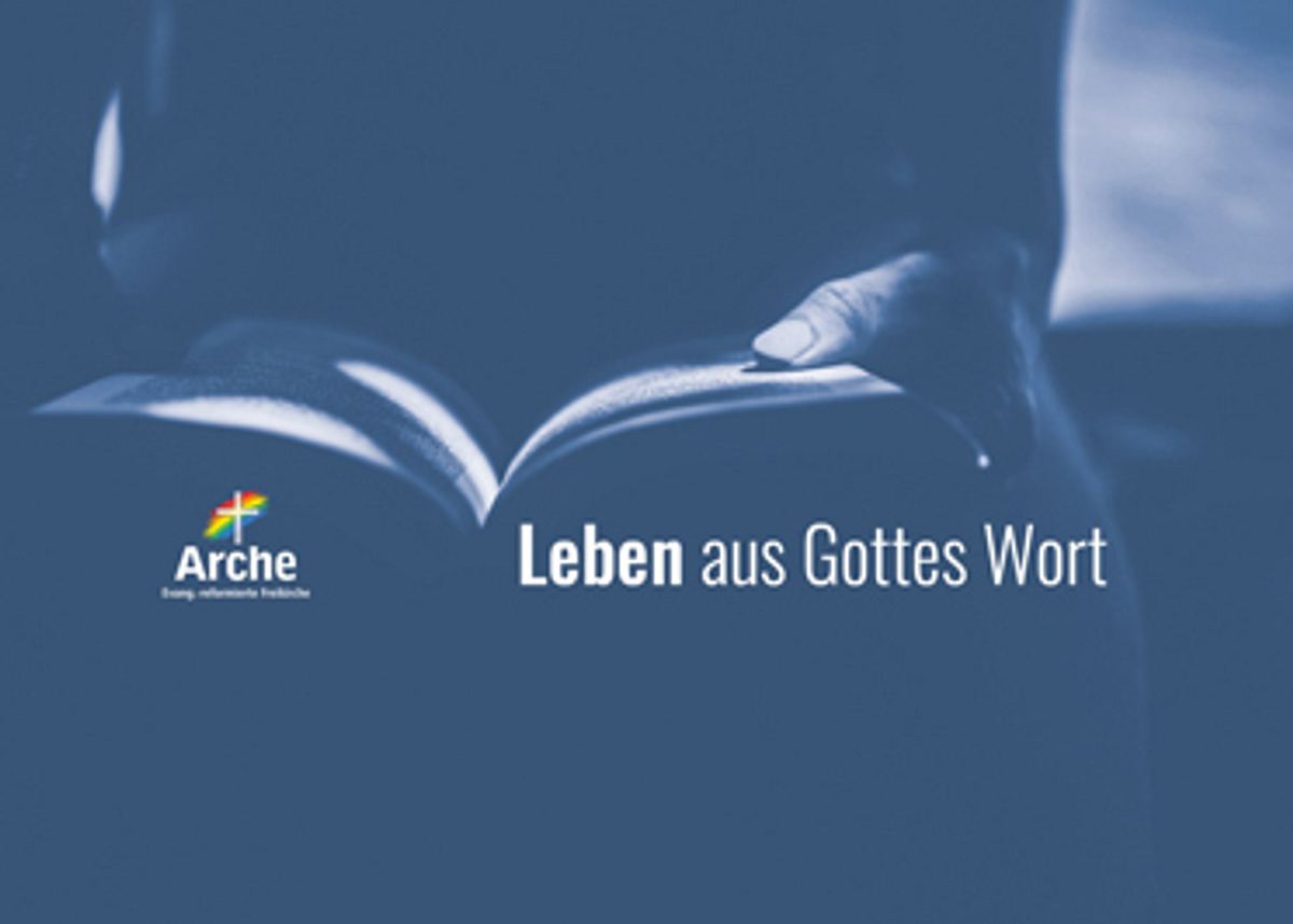 Arche TV arche tv