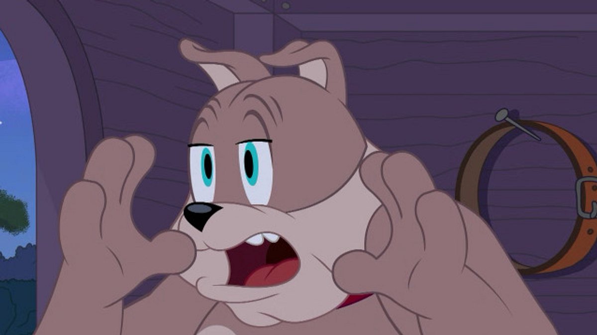 die tom und jerry show