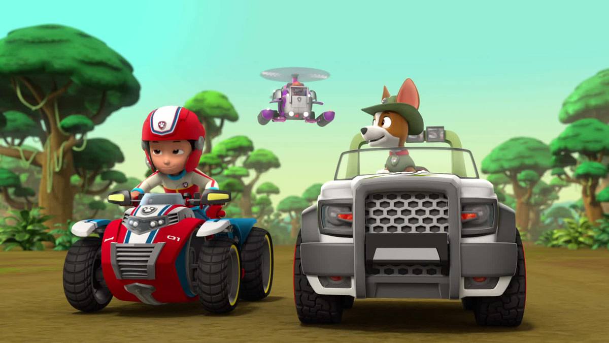 paw patrol - helfer auf vier pfoten