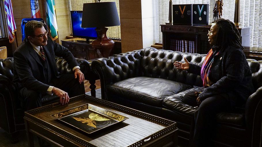 blue bloods - crime scene new york