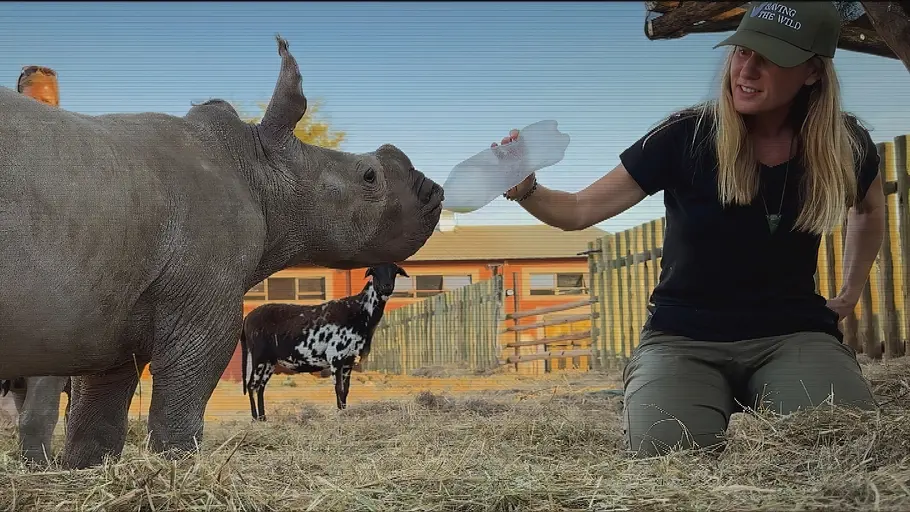 Wildlife Crime - Milliardengeschäft Tierhandel wildlife crime - milliardengeschäft tierhandel