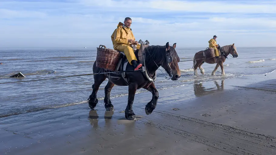 leben an der nordsee