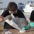 Mit Kompass und Köpfchen auf hoher See Thumbnail
