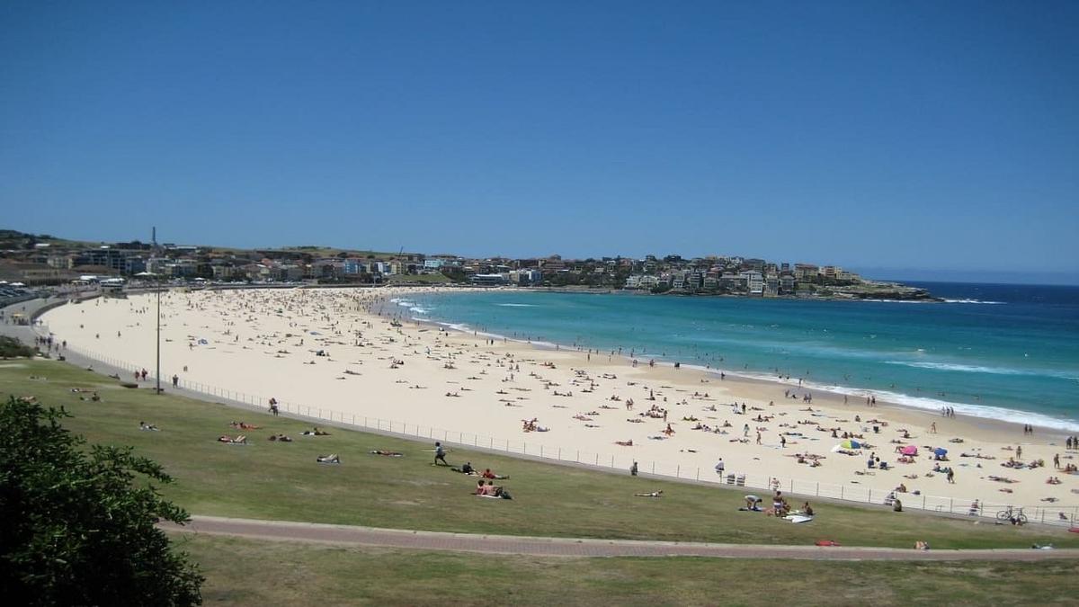 Bondi Rescue Bondi Rescue