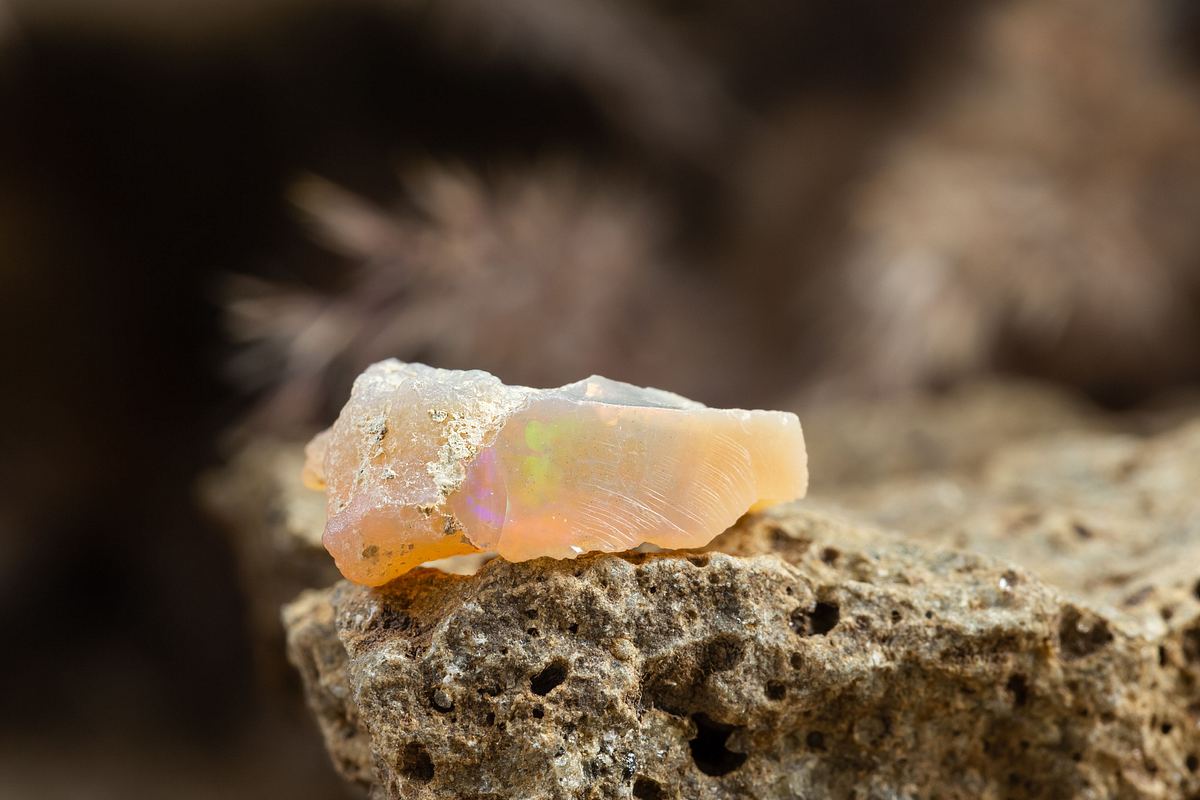 Outback Opal Hunters - Edelsteinjagd in Australien outback opal hunters - edelsteinjagd in australien