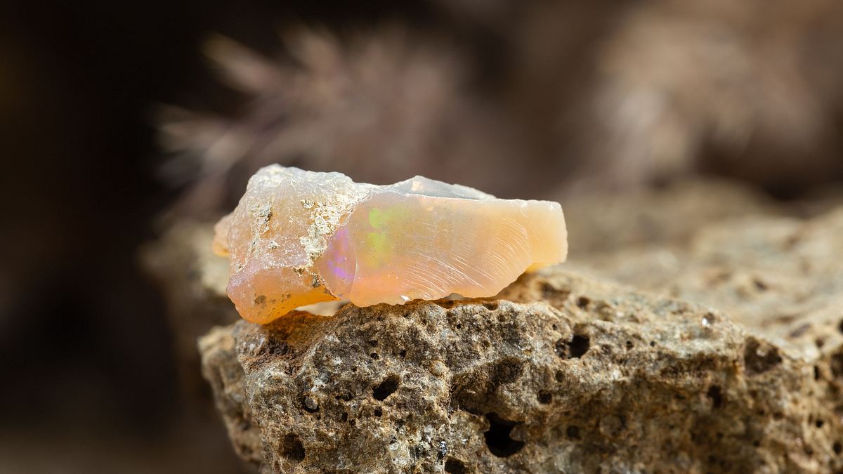 outback opal hunters - edelsteinjagd in australien