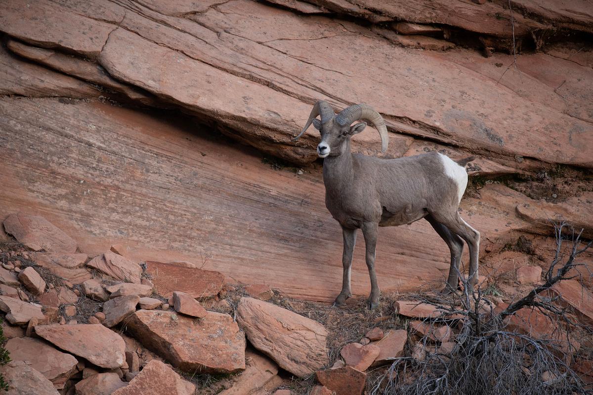 Nationalparks: USA nationalparks: usa