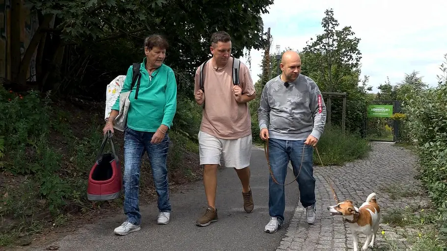 Von Hecke zu Hecke - Bunte Beetgeschichten von hecke zu hecke - bunte beetgeschichten