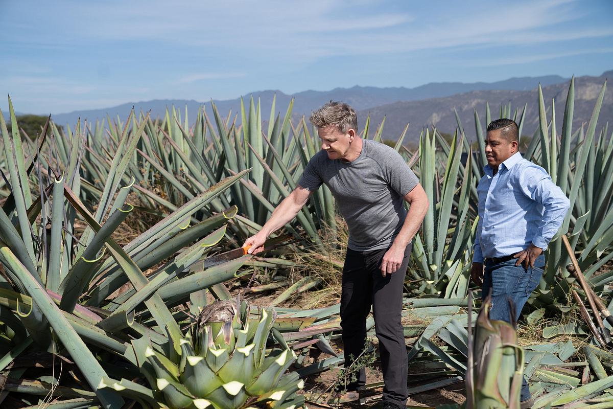 gordon ramsay: kulinarische abenteuer