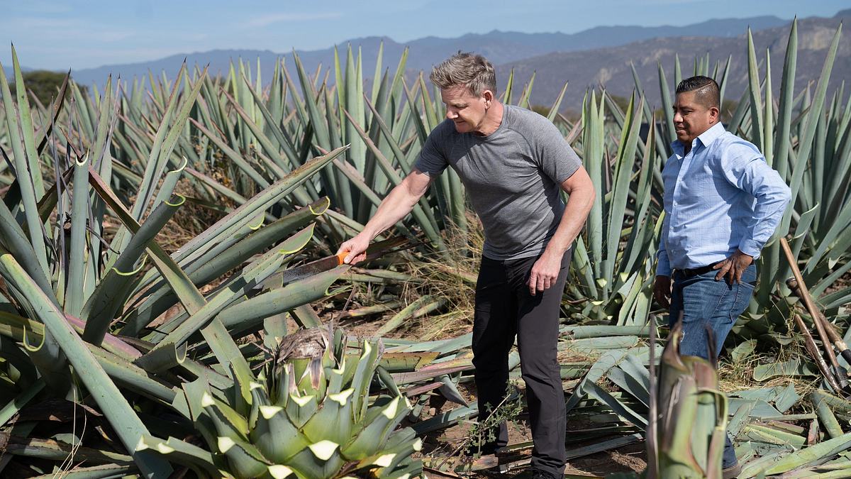 gordon ramsay: kulinarische abenteuer
