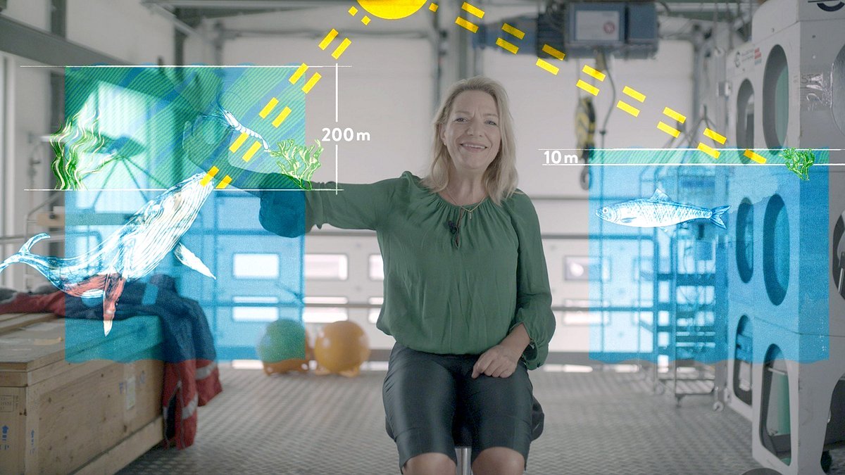 42 - die antwort auf fast alles