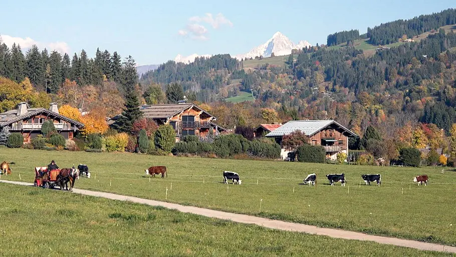 Hüter der Südseeinseln hüter der südseeinseln