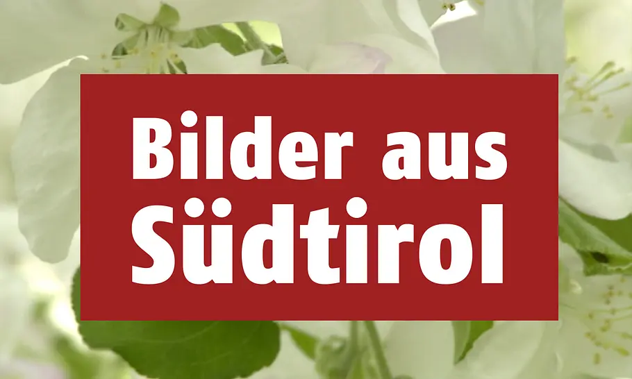 Bilder aus Südtirol bilder aus südtirol