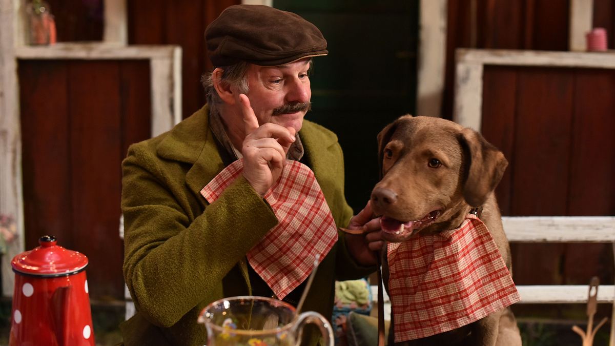 pettersson und findus - findus zieht um