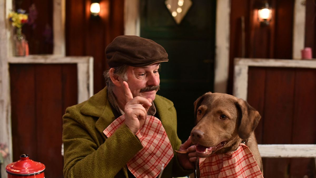 pettersson und findus - findus zieht um