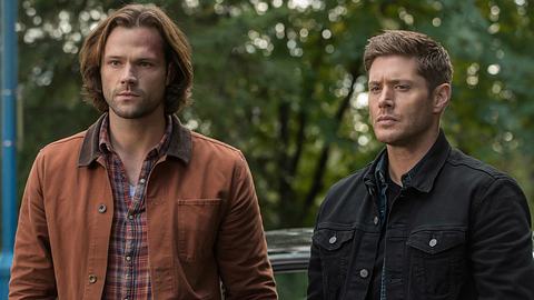 Supernatural nach Folge 300: So lange soll die Serie noch weitergehen! - Foto: CW / Sky
