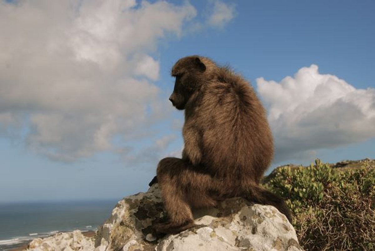 Abenteuer Wildnis abenteuer wildnis