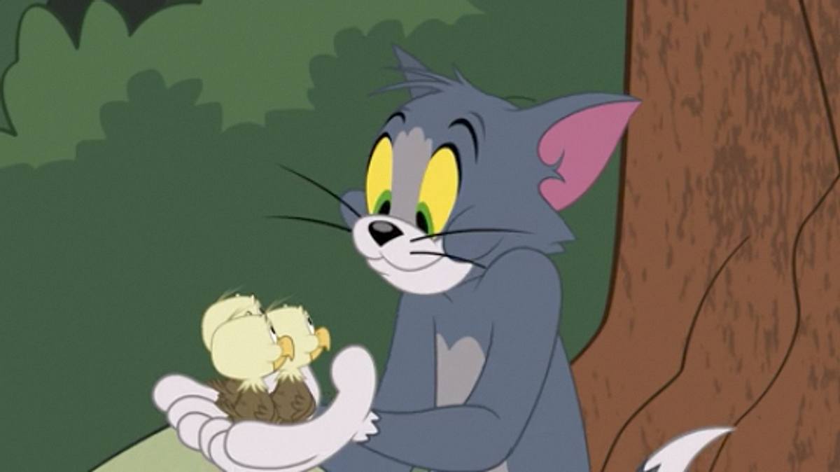 die tom und jerry show