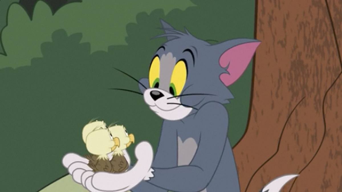 die tom und jerry show