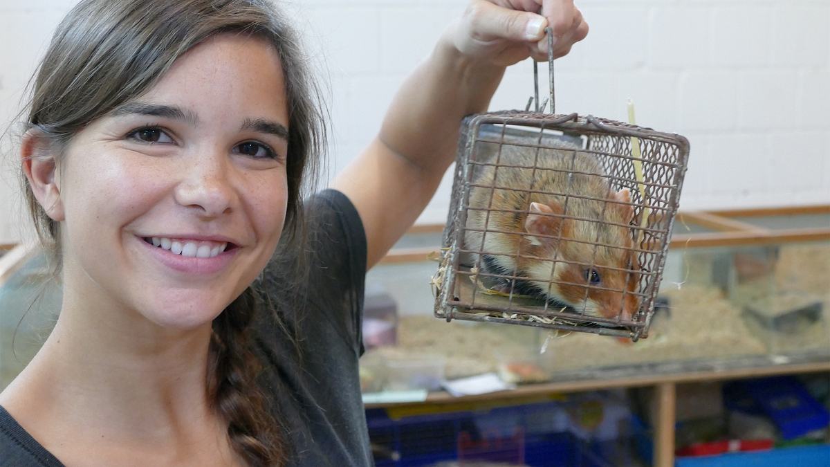 anna und die wilden tiere