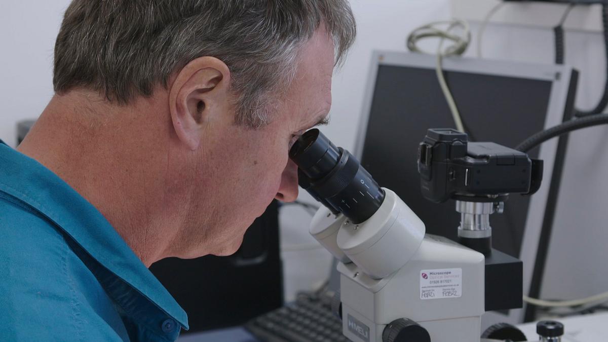 expert witness - forensiker auf spurensuche