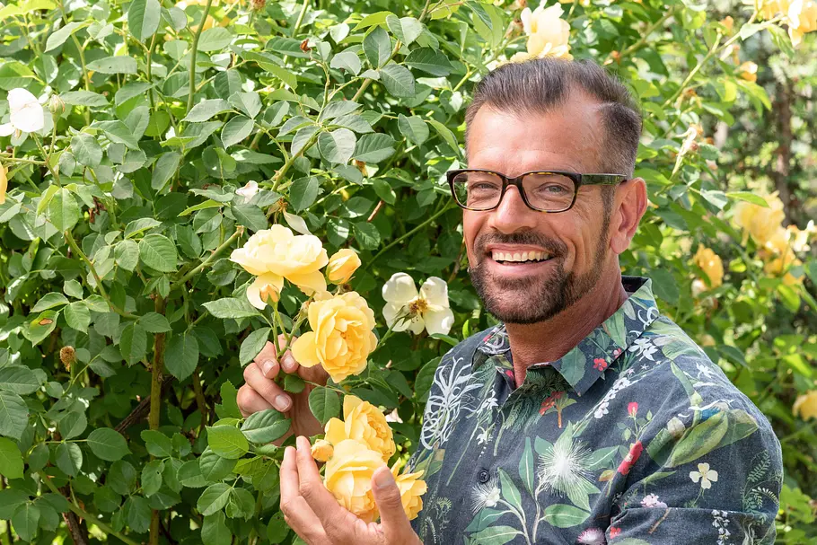Natur im Garten natur im garten