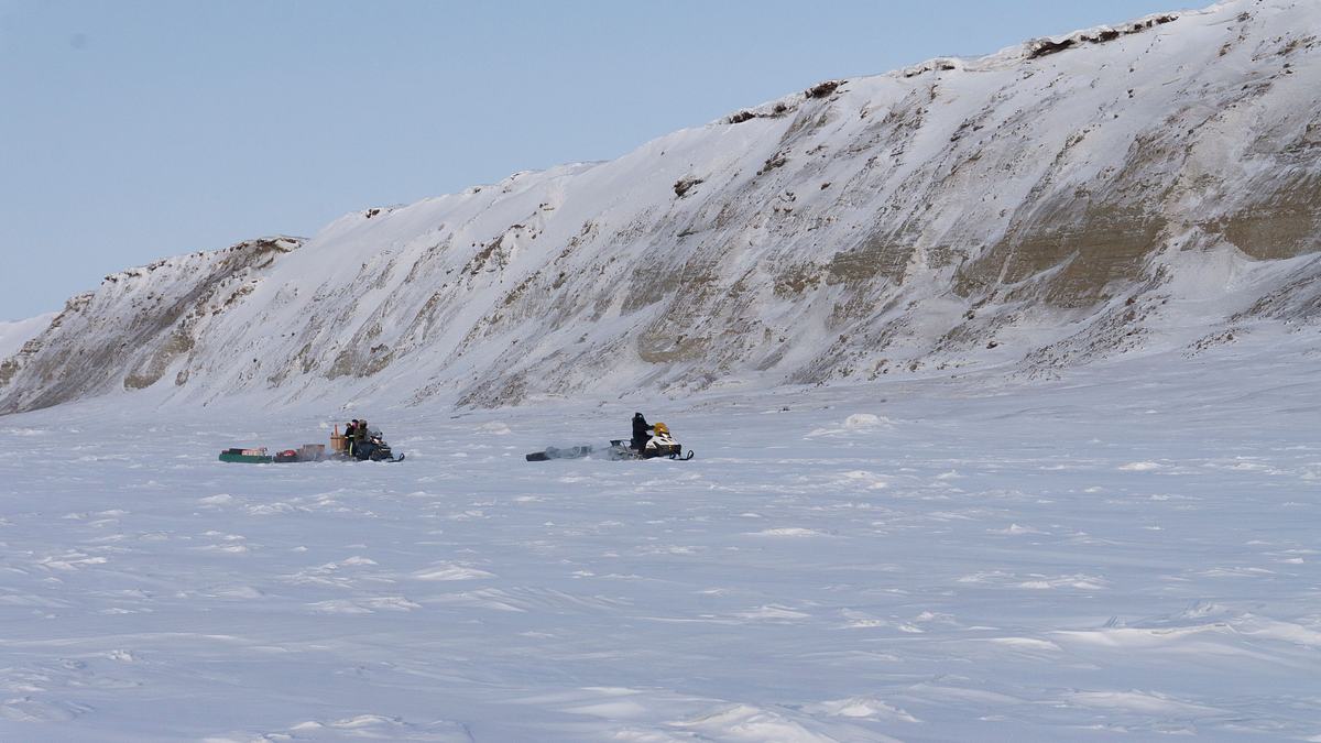 auf der jagd nach alaskas dinosauriern