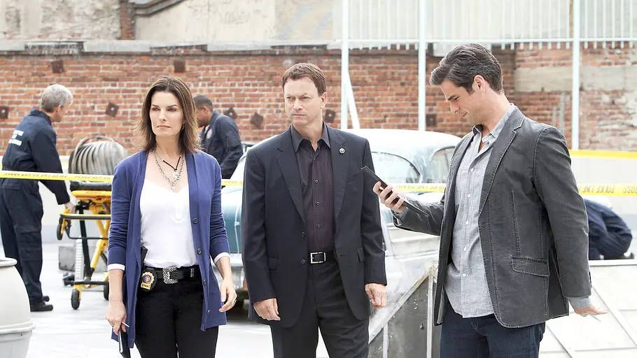 CSI: NY csi: ny