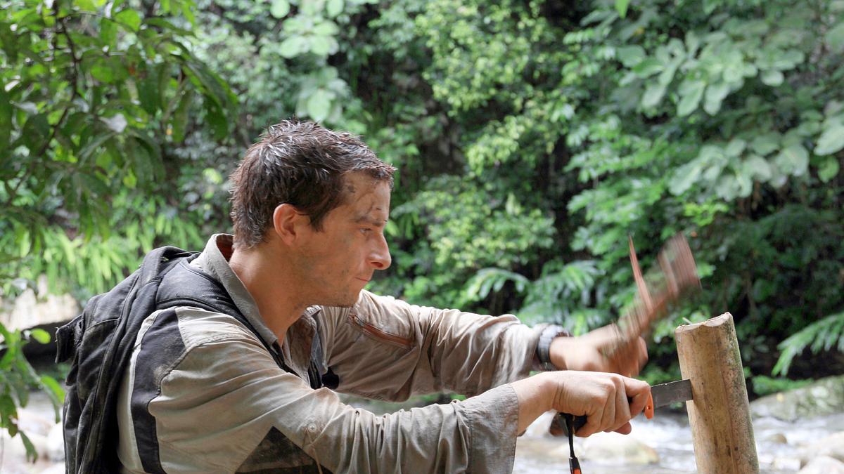 ausgesetzt in der wildnis
