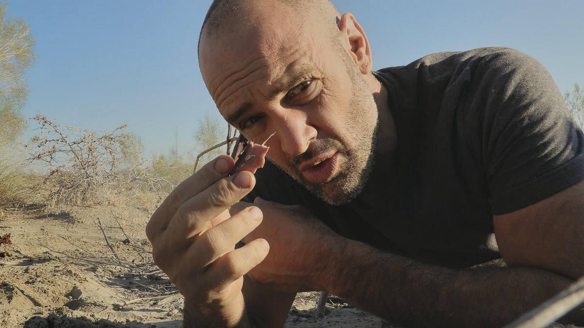ed stafford: das survival-duell