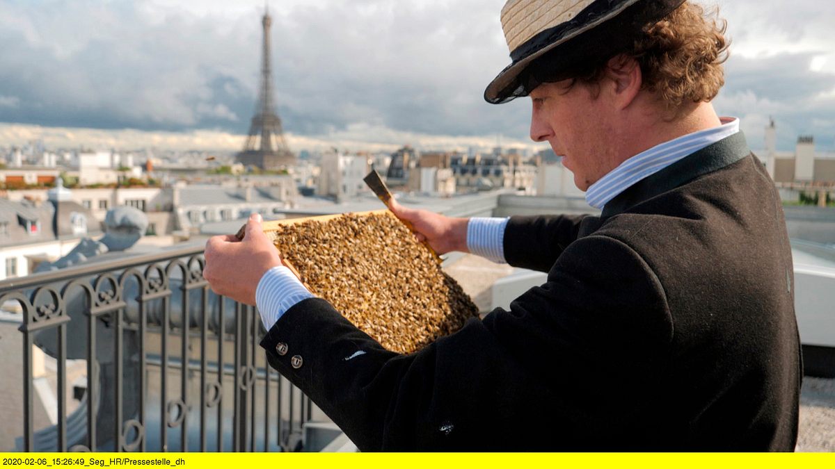 salut paris! zwischen eiffelturm und bienenstock
