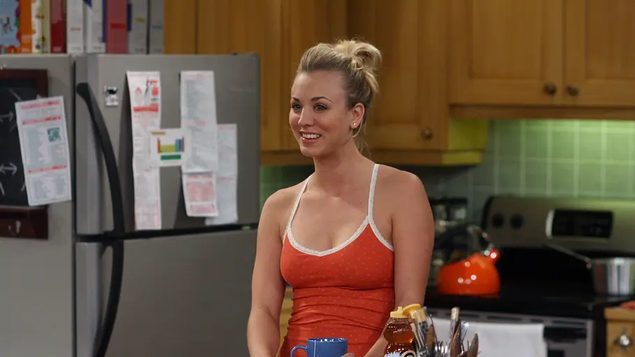 The Big Bang Theory the big bang theory