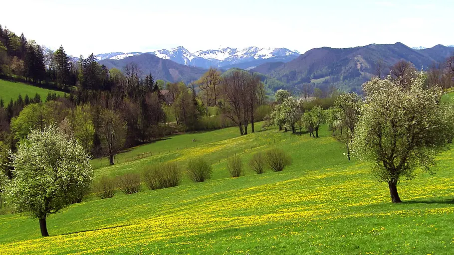 9 Plätze - 9 Schätze: So schön ist Österreich 9 plätze - 9 schätze: so schön ist österreich