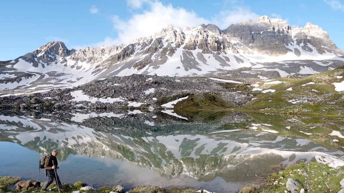 wilde schweiz