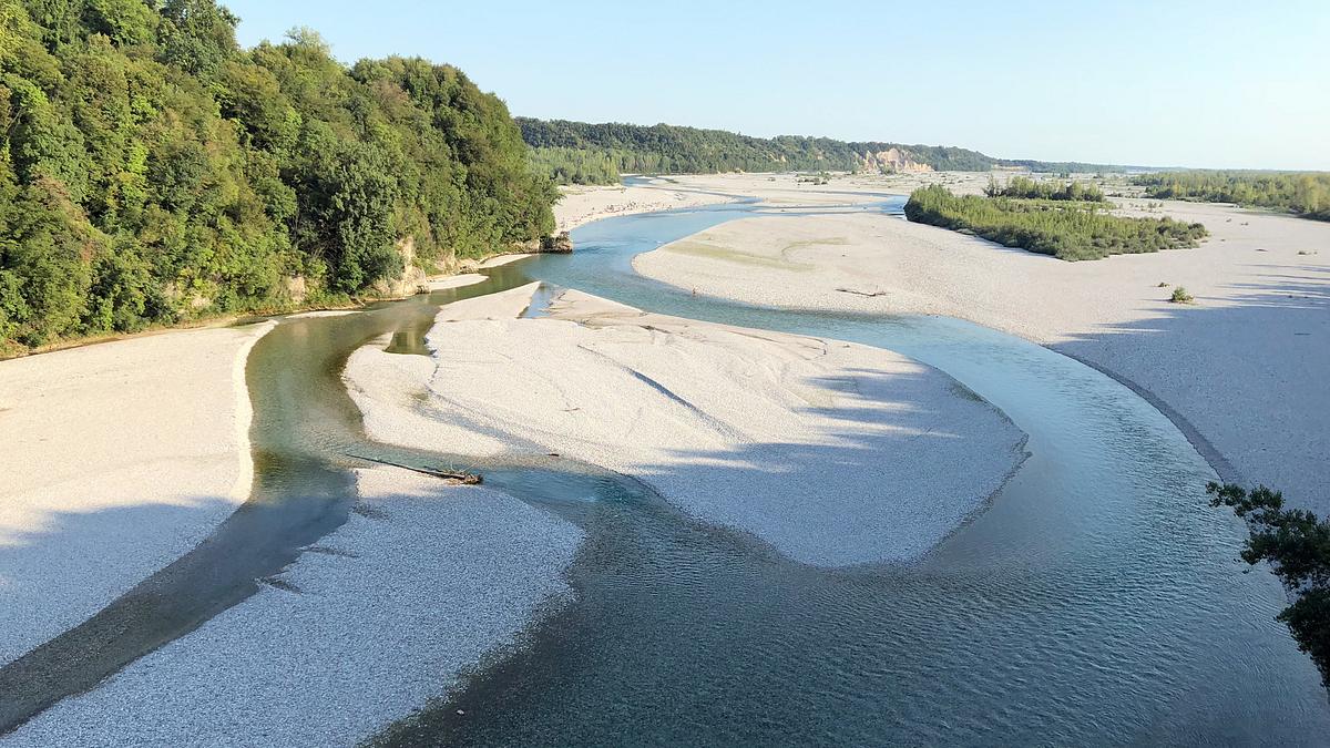faszination fluss - der tagliamento
