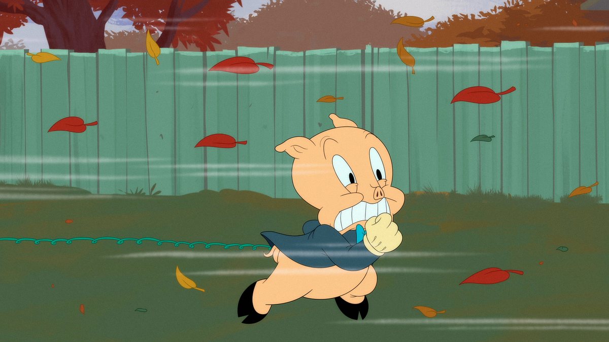 looney tunes cartoons
