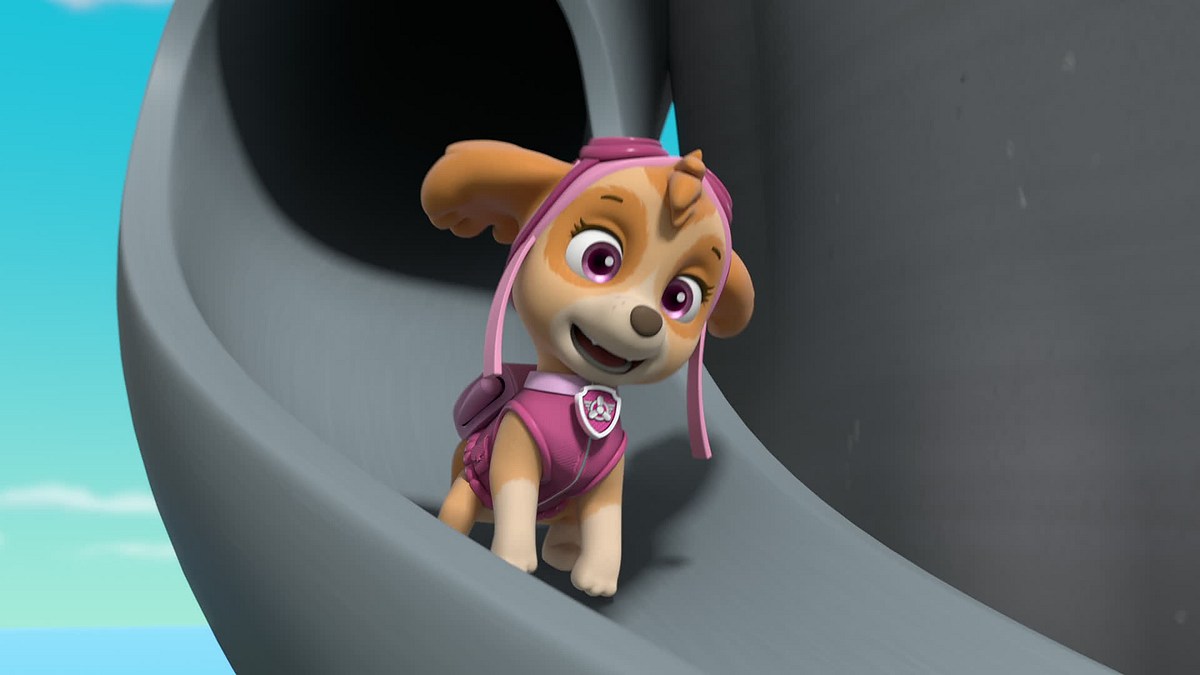 Paw Patrol - Helfer auf vier Pfoten paw patrol - helfer auf vier pfoten