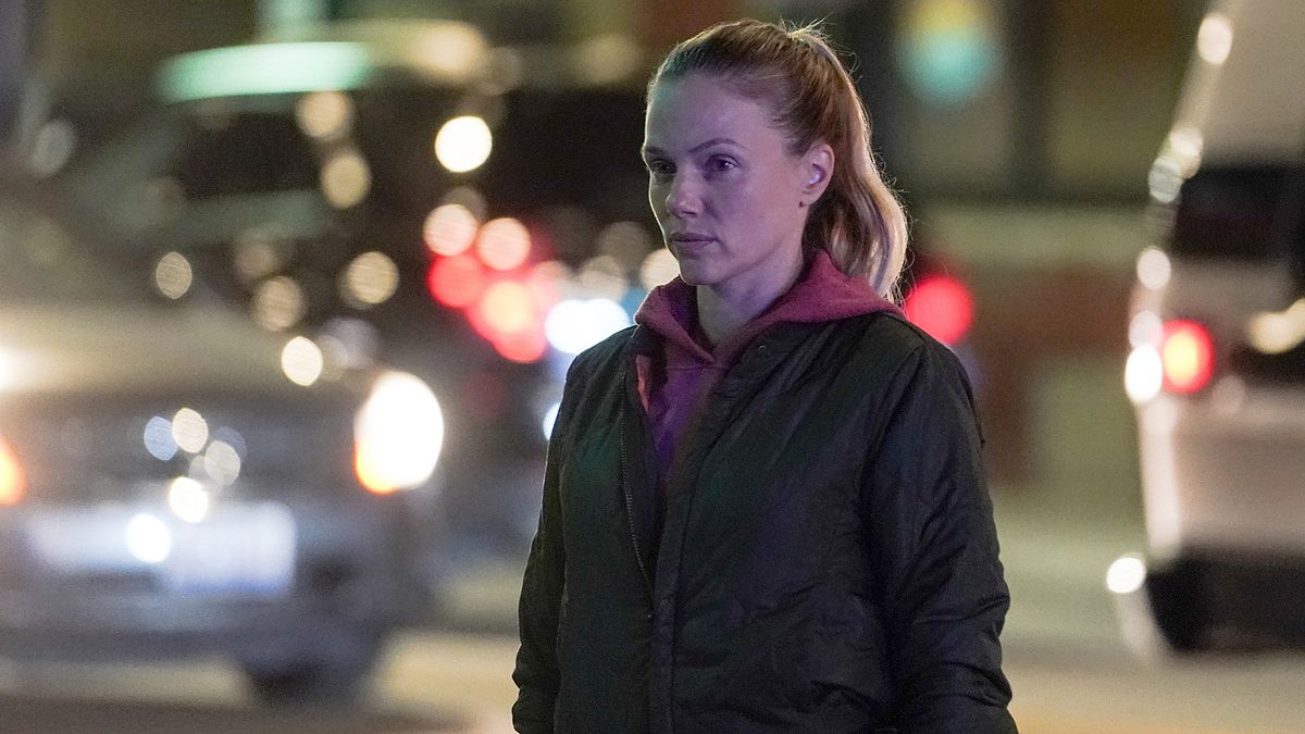 chicago p.d.