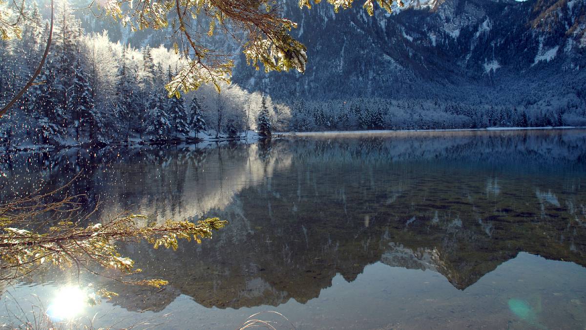 unsere alpen / universum