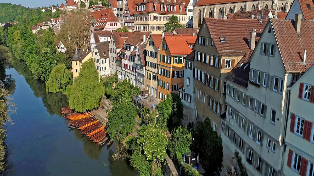 der neckar
