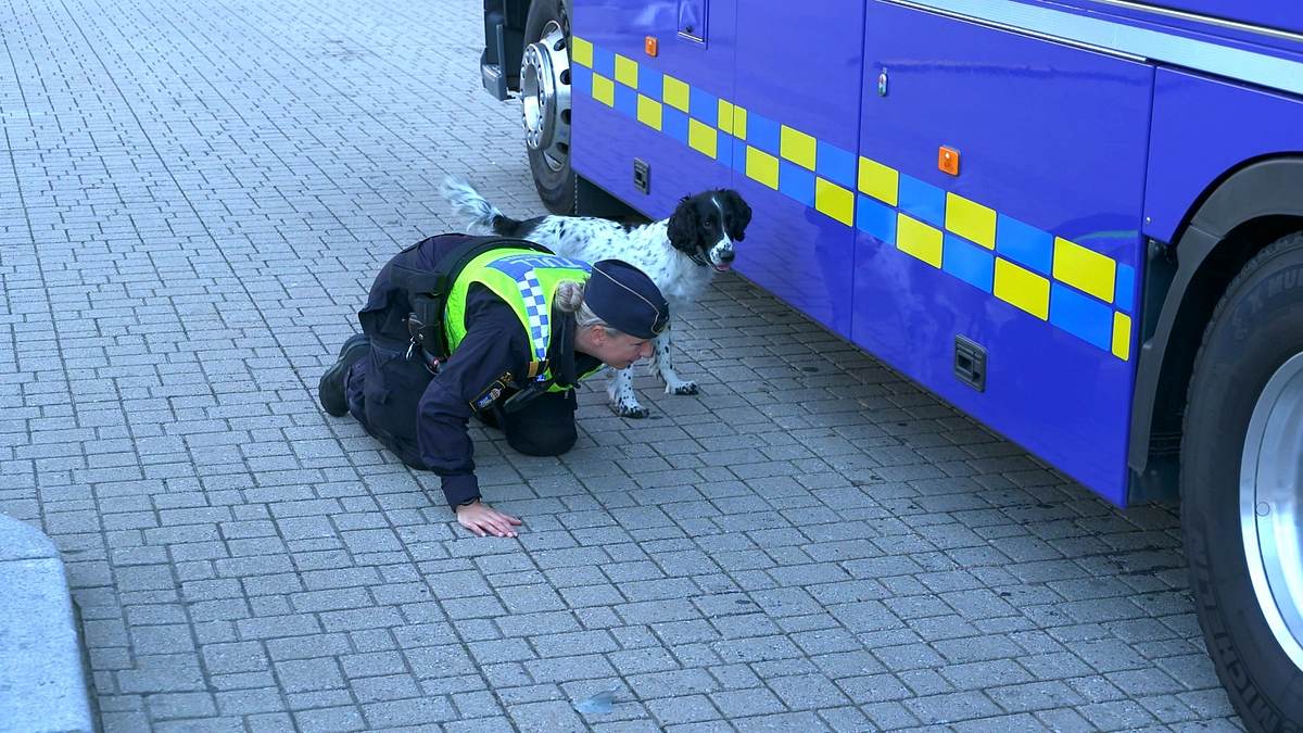 border control: schwedens grenzschützer