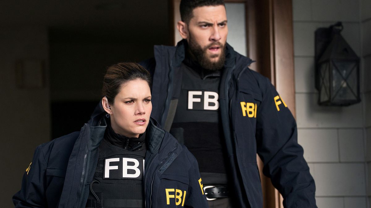 fbi: special crime unit
