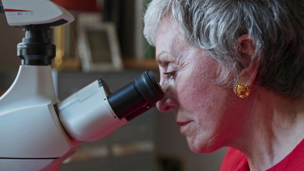 expert witness - forensiker auf spurensuche
