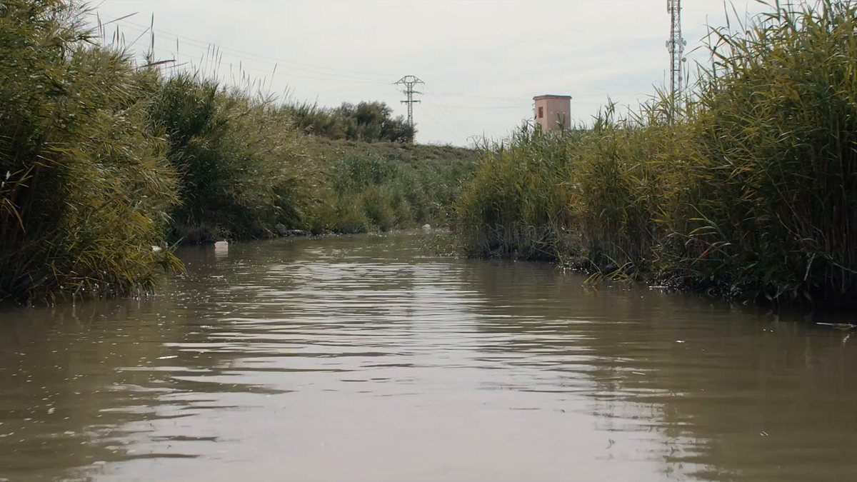 el agua