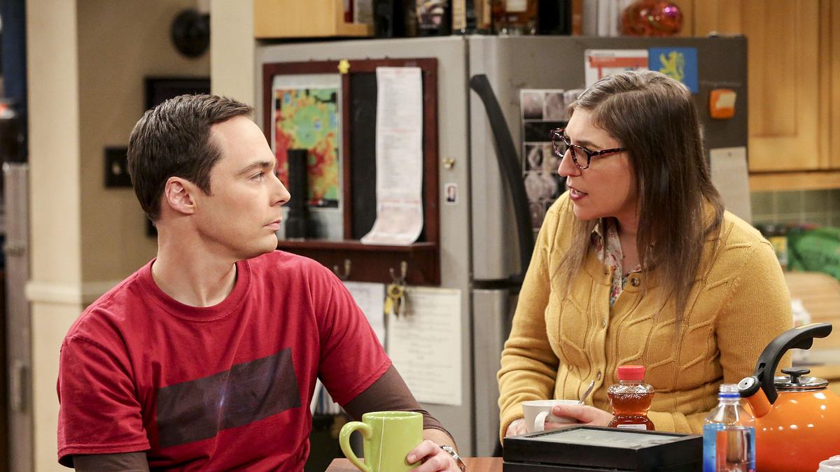 the big bang theory