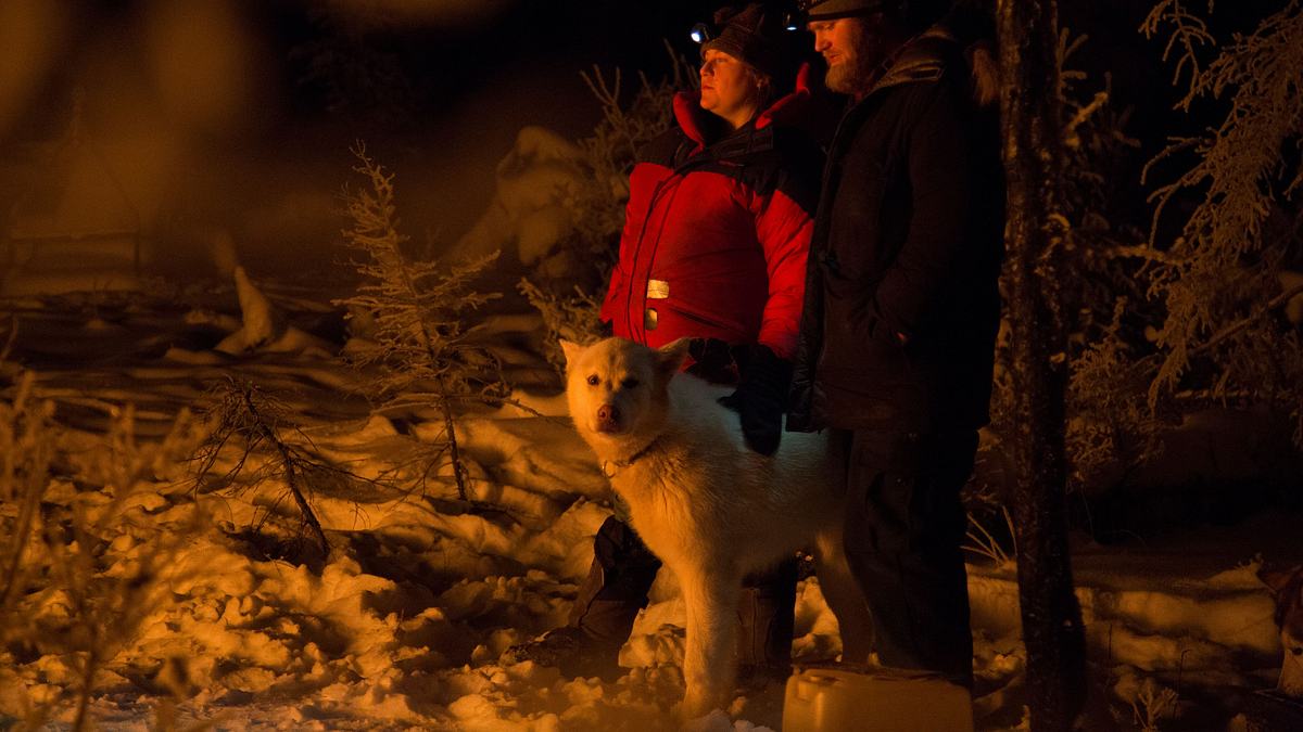 nordalaska - überleben am polarkreis