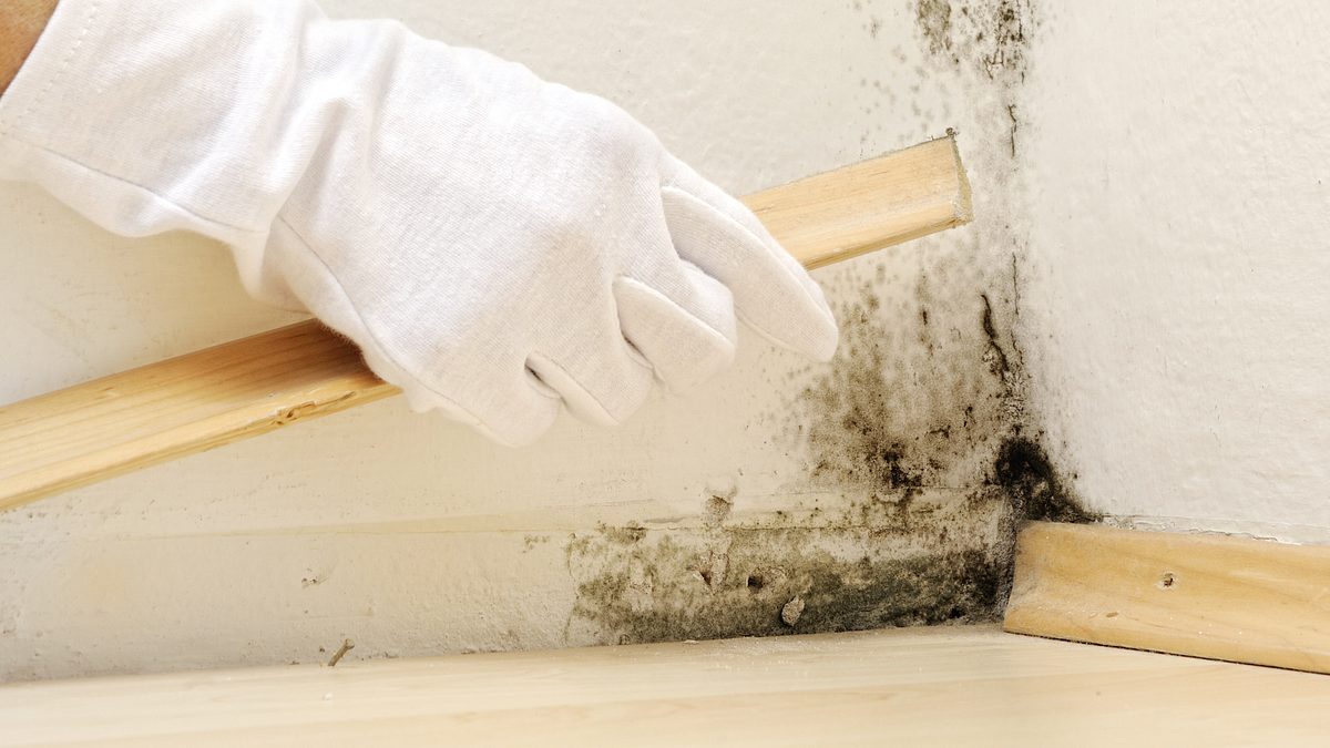 good bones - mutter, tochter, home-makeover