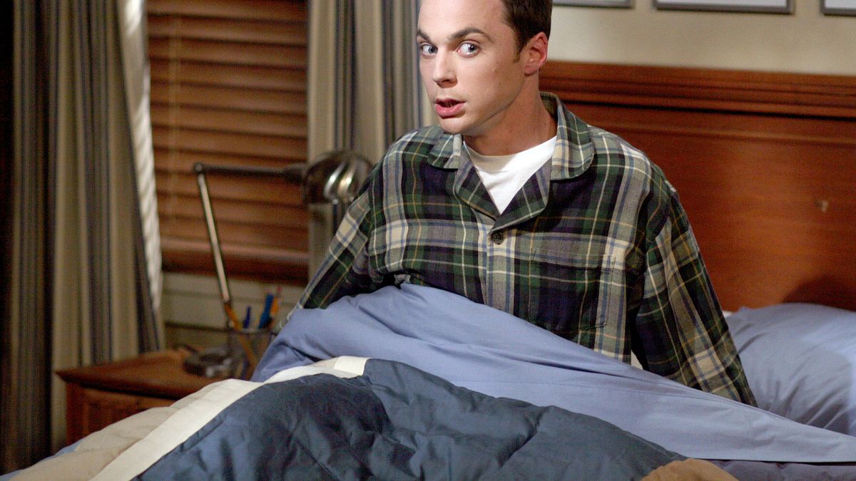 the big bang theory
