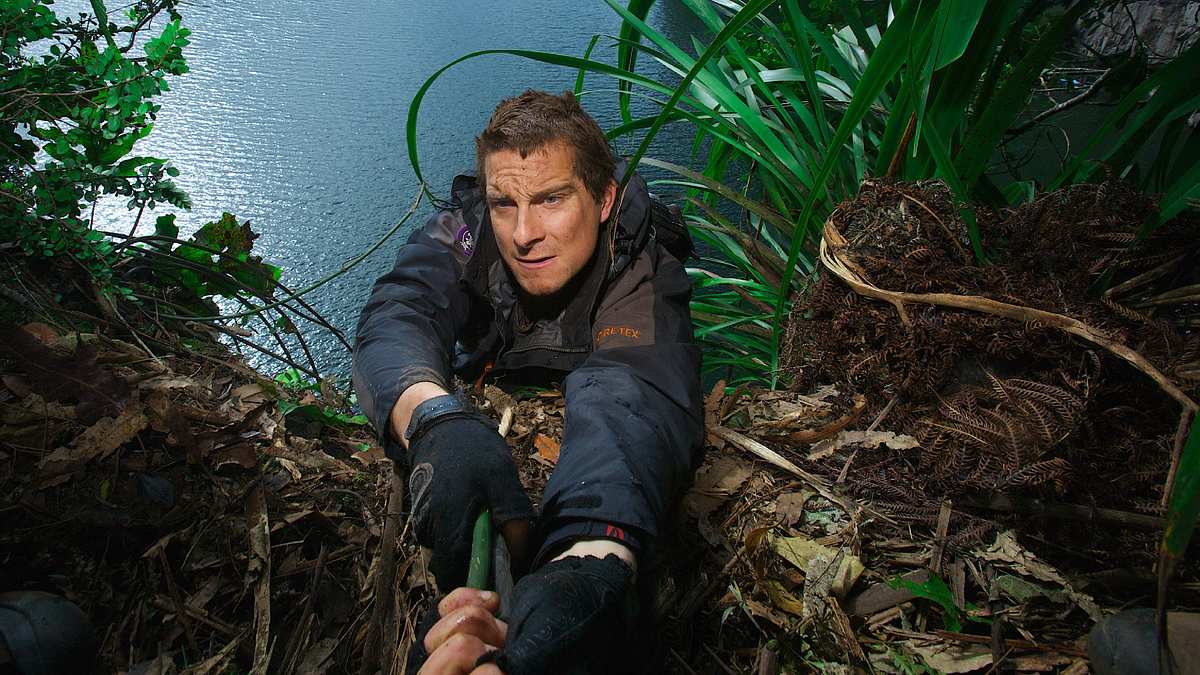 ausgesetzt in der wildnis