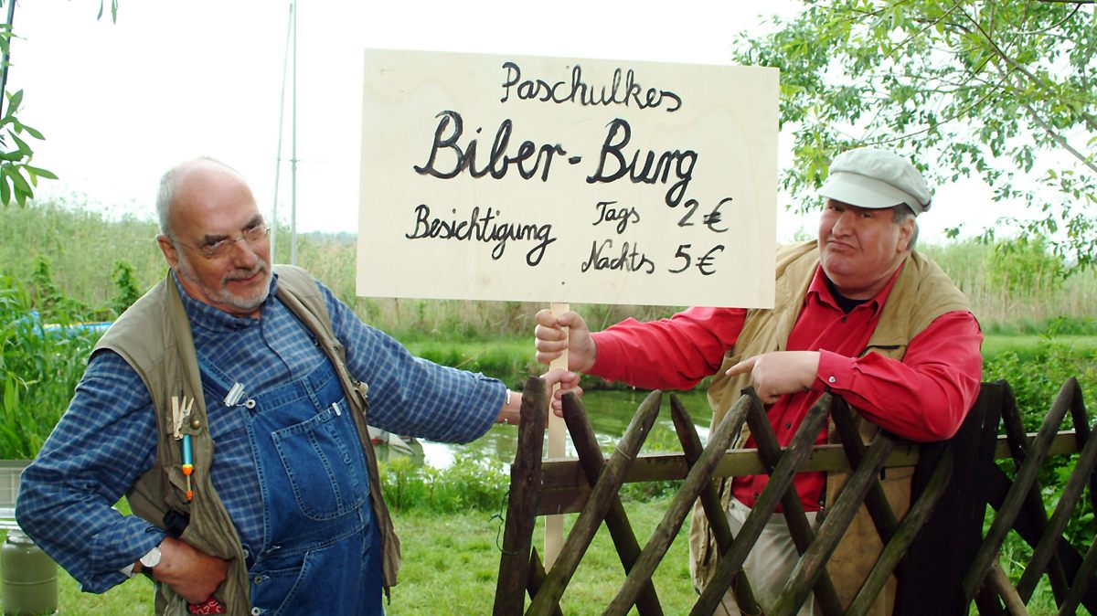 löwenzahn